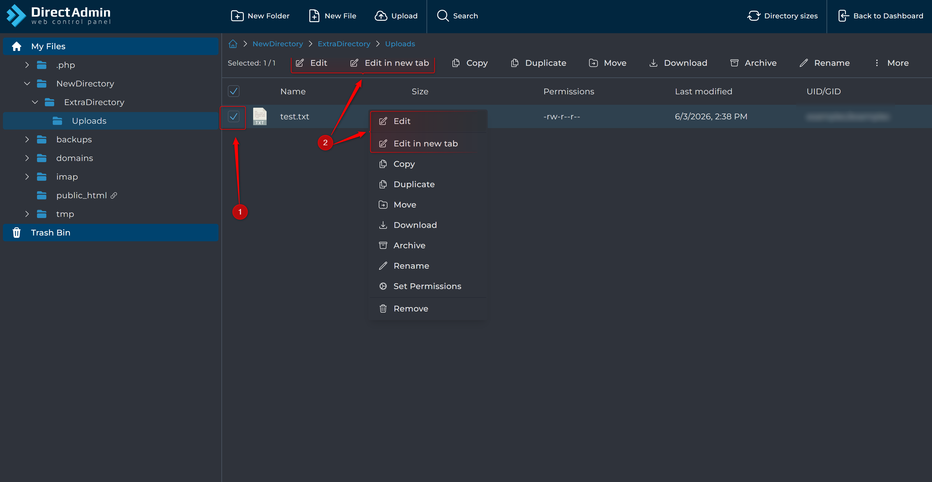 Editing Files in DirectAdmin